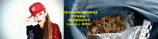 мдма Богданович