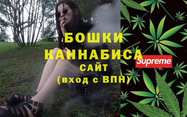 сатива Богородицк