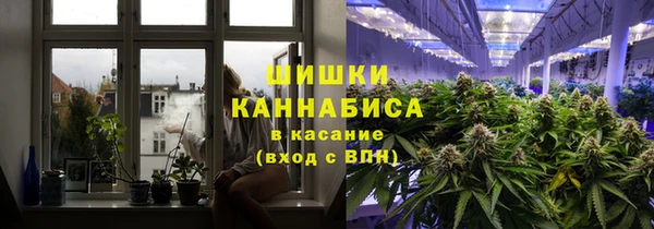 соль ск Богородск