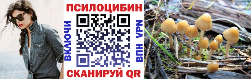 Галлюциногенные грибы ЛСД  Кущёвская 